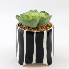 fekete pöttyök mini kerámia szukkulens növénycserepek fekete csík terrakotta mini pot