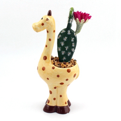 ceramic giraffe figurines