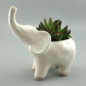 elefánt növényi váza fehér fazekas állati pot