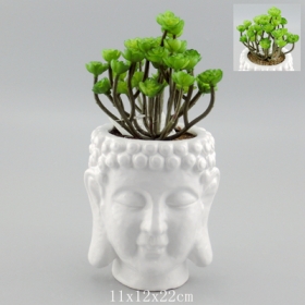 buddha fej növényi cserepek